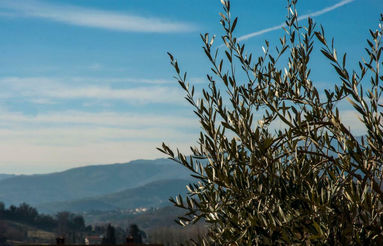 "La Casetta" Pratovecchio Exteriér fotografie